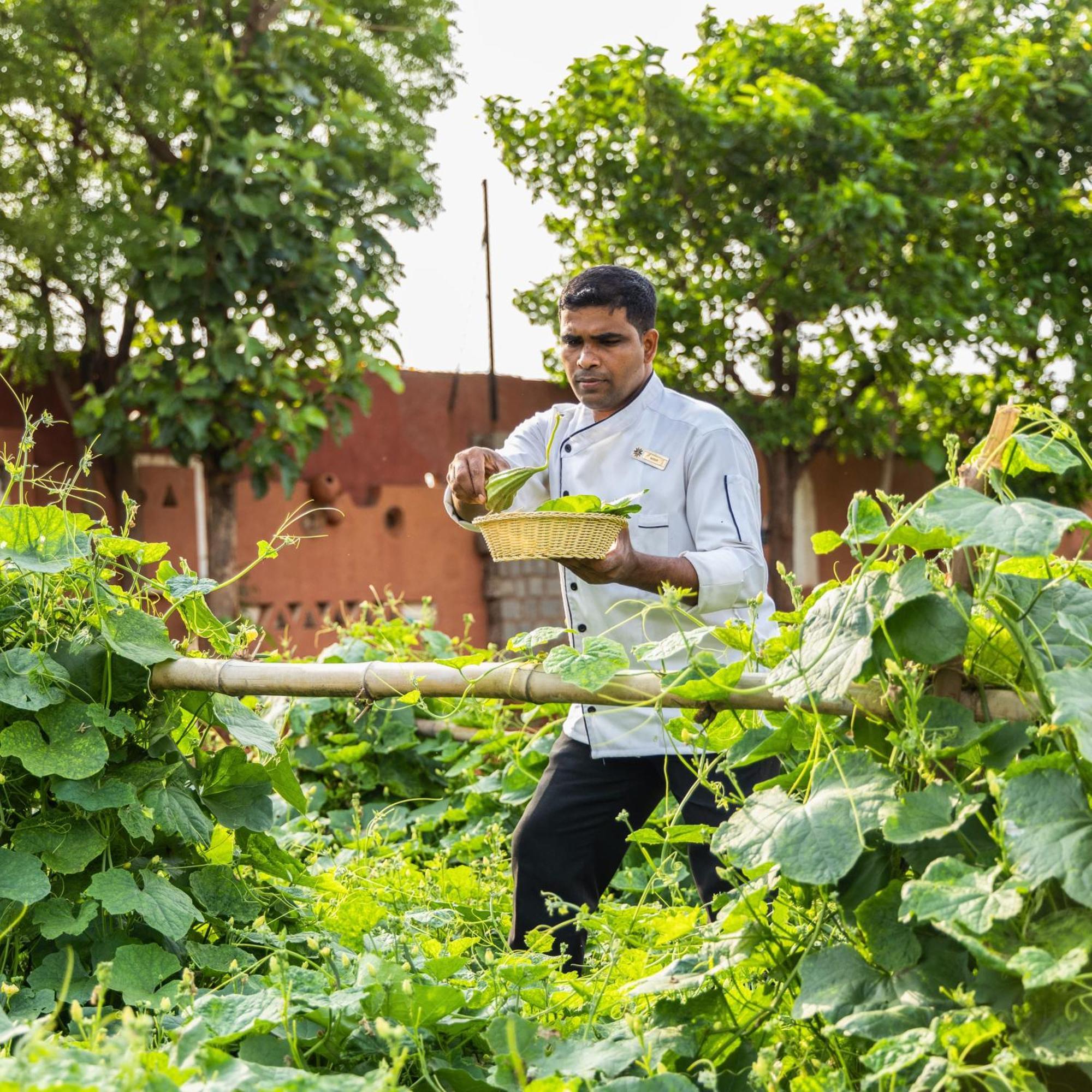 Vijayshree Resort, Hampi Zewnętrze zdjęcie
